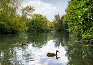 OLFF APPOLDwww.olffappold.com, Ruhr Tourismus GmbH